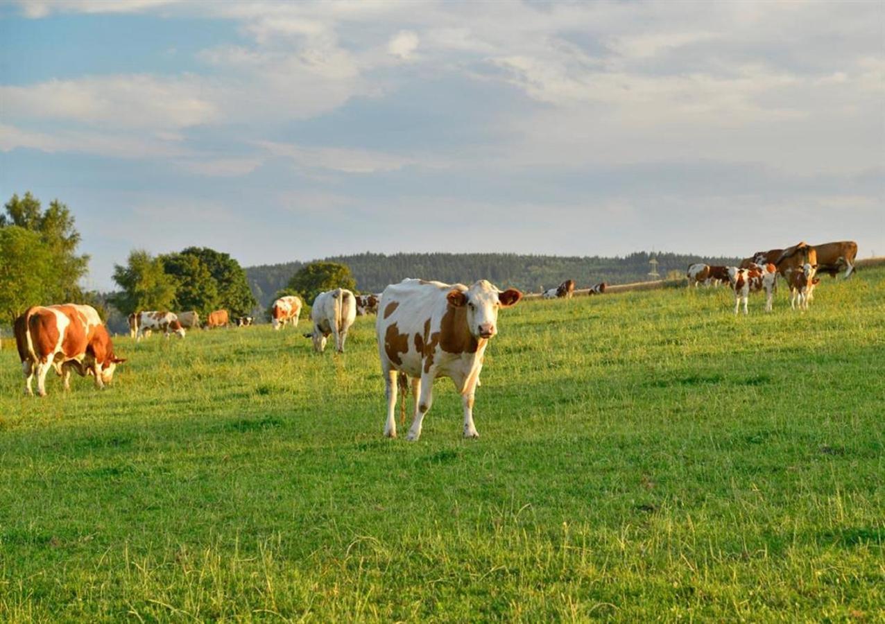 Ferienhof Kuerschner Drebach Eksteriør billede