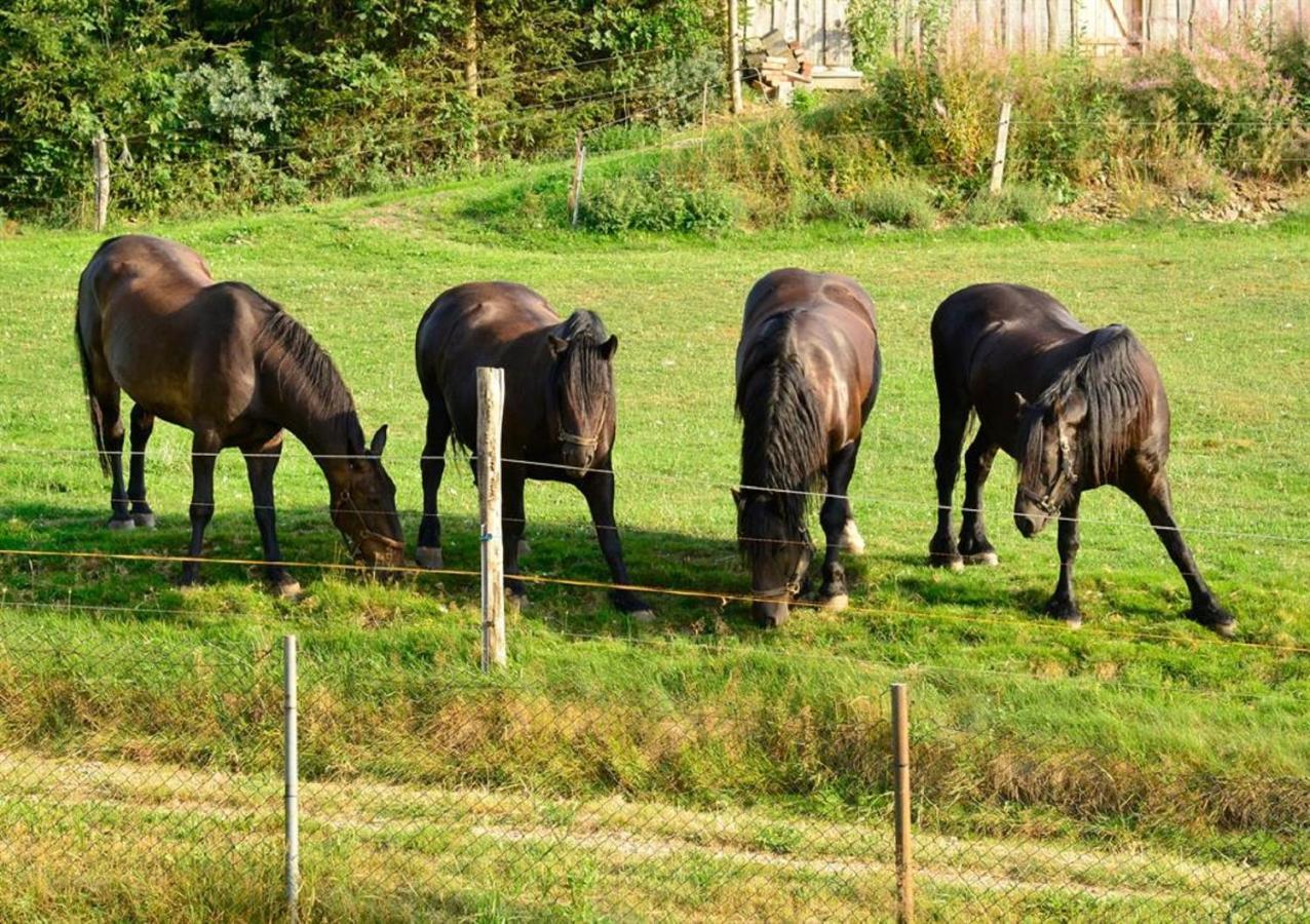 Ferienhof Kuerschner Drebach Eksteriør billede